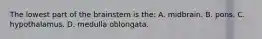 The lowest part of the brainstem is​ the: A. midbrain. B. pons. C. hypothalamus. D. medulla oblongata.
