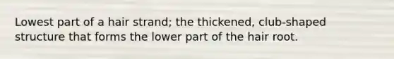 Lowest part of a hair strand; the thickened, club-shaped structure that forms the lower part of the hair root.