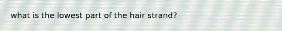 what is the lowest part of the hair strand?