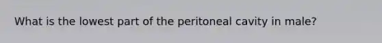 What is the lowest part of the peritoneal cavity in male?