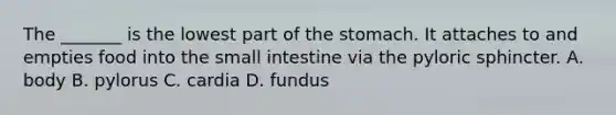 The _______ is the lowest part of the stomach. It attaches to and empties food into the small intestine via the pyloric sphincter. A. body B. pylorus C. cardia D. fundus