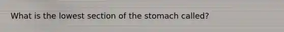 What is the lowest section of the stomach called?