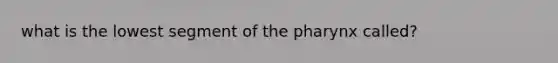 what is the lowest segment of the pharynx called?