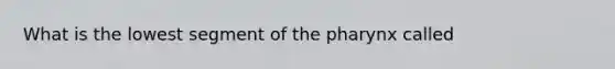 What is the lowest segment of the pharynx called