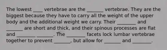 The lowest ____ vertebrae are the _______ vertebrae. They are the biggest because they have to carry all the weight of the upper body and the additional weight we carry. Their ________ and _______ are short and thick, and their spinous processes are flat and ________ _______. The ________ facets lock lumbar vertebrae together to prevent _______, but allow for _______ and ________.