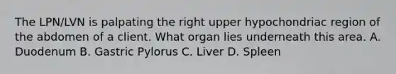 The LPN/LVN is palpating the right upper hypochondriac region of the abdomen of a client. What organ lies underneath this area. A. Duodenum B. Gastric Pylorus C. Liver D. Spleen