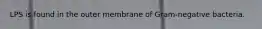 LPS is found in the outer membrane of Gram-negative bacteria.