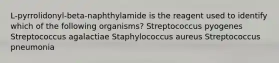 L-pyrrolidonyl-beta-naphthylamide is the reagent used to identify which of the following organisms? Streptococcus pyogenes Streptococcus agalactiae Staphylococcus aureus Streptococcus pneumonia