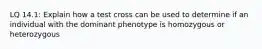 LQ 14.1: Explain how a test cross can be used to determine if an individual with the dominant phenotype is homozygous or heterozygous