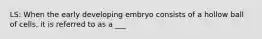 LS: When the early developing embryo consists of a hollow ball of cells, it is referred to as a ___