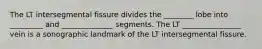 The LT intersegmental fissure divides the ________ lobe into _________ and ______________ segments. The LT ________________ vein is a sonographic landmark of the LT intersegmental fissure.