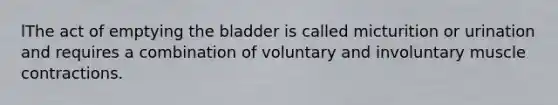 lThe act of emptying the bladder is called micturition or urination and requires a combination of voluntary and involuntary muscle contractions.