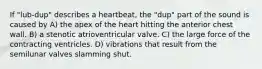 If "lub-dup" describes a heartbeat, the "dup" part of the sound is caused by A) the apex of the heart hitting the anterior chest wall. B) a stenotic atrioventricular valve. C) the large force of the contracting ventricles. D) vibrations that result from the semilunar valves slamming shut.