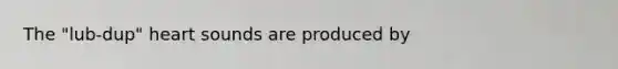The "lub-dup" heart sounds are produced by