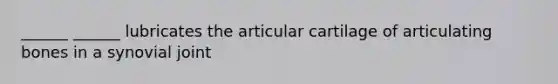 ______ ______ lubricates the articular cartilage of articulating bones in a synovial joint