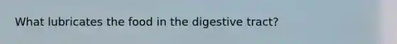 What lubricates the food in the digestive tract?