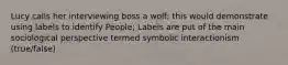 Lucy calls her interviewing boss a wolf; this would demonstrate using labels to identify People; Labels are put of the main sociological perspective termed symbolic interactionism (true/false)