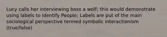 Lucy calls her interviewing boss a wolf; this would demonstrate using labels to identify People; Labels are put of the main sociological perspective termed symbolic interactionism (true/false)