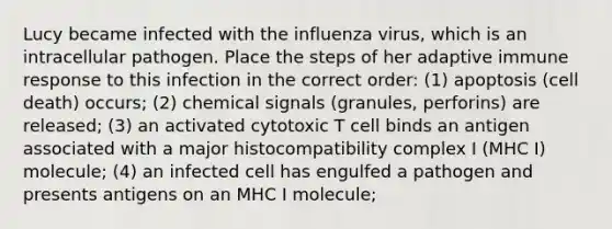 Lucy became infected with the influenza virus, which is an intracellular pathogen. Place the steps of her adaptive immune response to this infection in the correct order: (1) apoptosis (cell death) occurs; (2) chemical signals (granules, perforins) are released; (3) an activated cytotoxic T cell binds an antigen associated with a major histocompatibility complex I (MHC I) molecule; (4) an infected cell has engulfed a pathogen and presents antigens on an MHC I molecule;