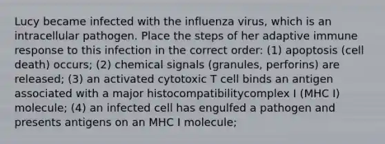 Lucy became infected with the influenza virus, which is an intracellular pathogen. Place the steps of her adaptive immune response to this infection in the correct order: (1) apoptosis (cell death) occurs; (2) chemical signals (granules, perforins) are released; (3) an activated cytotoxic T cell binds an antigen associated with a major histocompatibilitycomplex I (MHC I) molecule; (4) an infected cell has engulfed a pathogen and presents antigens on an MHC I molecule;