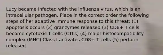 Lucy became infected with the influenza virus, which is an intracellular pathogen. Place in the correct order the following steps of her adaptive immune response to this threat: (1) apoptosis occurs (2) granzymes released (3) CD8+ T cells become cytotoxic T cells (CTLs) (4) major histocompatibility complex (MHC) Class I activates CD8+ T cells (5) perforin released.