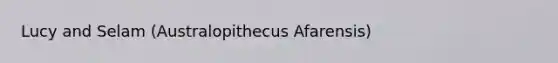 Lucy and Selam (Australopithecus Afarensis)