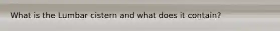 What is the Lumbar cistern and what does it contain?
