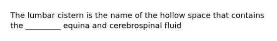 The lumbar cistern is the name of the hollow space that contains the _________ equina and cerebrospinal fluid