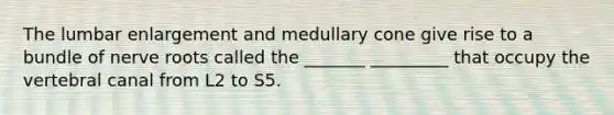 The lumbar enlargement and medullary cone give rise to a bundle of nerve roots called the _______ _________ that occupy the vertebral canal from L2 to S5.