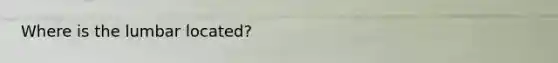 Where is the lumbar located?
