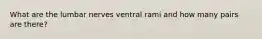 What are the lumbar nerves ventral rami and how many pairs are there?