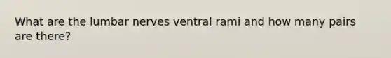 What are the lumbar nerves ventral rami and how many pairs are there?