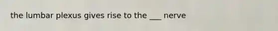 the lumbar plexus gives rise to the ___ nerve