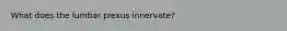 What does the lumbar plexus innervate?