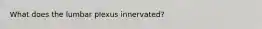 What does the lumbar plexus innervated?