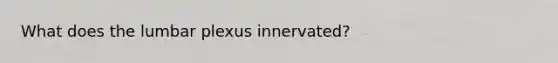 What does the lumbar plexus innervated?