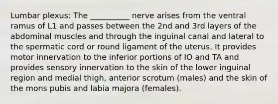 Lumbar plexus: The __________ nerve arises from the ventral ramus of L1 and passes between the 2nd and 3rd layers of the abdominal muscles and through the inguinal canal and lateral to the spermatic cord or round ligament of the uterus. It provides motor innervation to the inferior portions of IO and TA and provides sensory innervation to the skin of the lower inguinal region and medial thigh, anterior scrotum (males) and the skin of the mons pubis and labia majora (females).