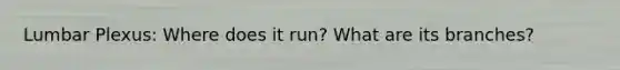 Lumbar Plexus: Where does it run? What are its branches?