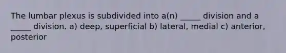 The lumbar plexus is subdivided into a(n) _____ division and a _____ division. a) deep, superficial b) lateral, medial c) anterior, posterior