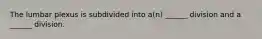 The lumbar plexus is subdivided into a(n) ______ division and a ______ division.