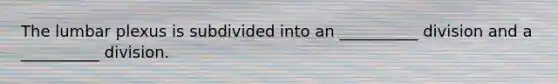 The lumbar plexus is subdivided into an __________ division and a __________ division.
