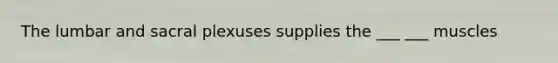The lumbar and sacral plexuses supplies the ___ ___ muscles
