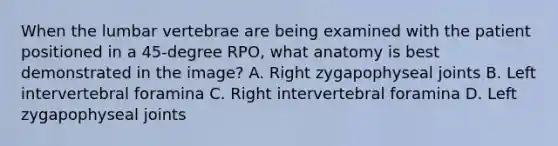 When the lumbar vertebrae are being examined with the patient positioned in a 45-degree RPO, what anatomy is best demonstrated in the image? A. Right zygapophyseal joints B. Left intervertebral foramina C. Right intervertebral foramina D. Left zygapophyseal joints