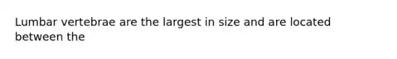 Lumbar vertebrae are the largest in size and are located between the