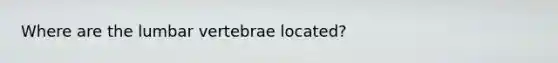 Where are the lumbar vertebrae located?