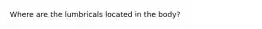 Where are the lumbricals located in the body?