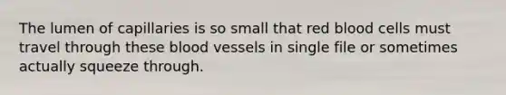 The lumen of capillaries is so small that red blood cells must travel through these blood vessels in single file or sometimes actually squeeze through.