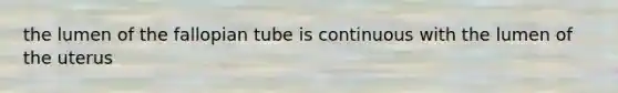 the lumen of the fallopian tube is continuous with the lumen of the uterus