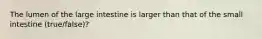 The lumen of the large intestine is larger than that of the small intestine (true/false)?