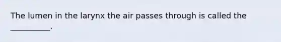 The lumen in the larynx the air passes through is called the __________.